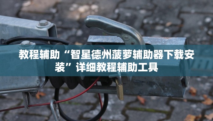 教程辅助“智星德州菠萝辅助器下载安装”详细教程辅助工具