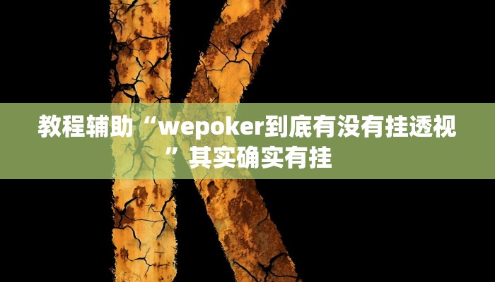 教程辅助“wepoker到底有没有挂透视”其实确实有挂