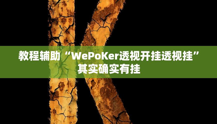 教程辅助“WePoKer透视开挂透视挂”其实确实有挂