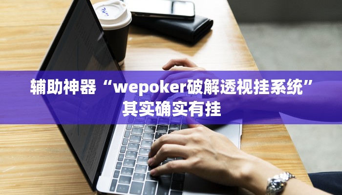 辅助神器“wepoker破解透视挂系统”其实确实有挂