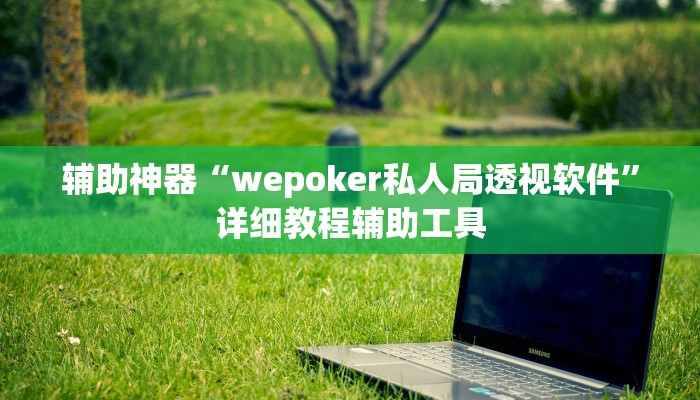 辅助神器“wepoker私人局透视软件”详细教程辅助工具