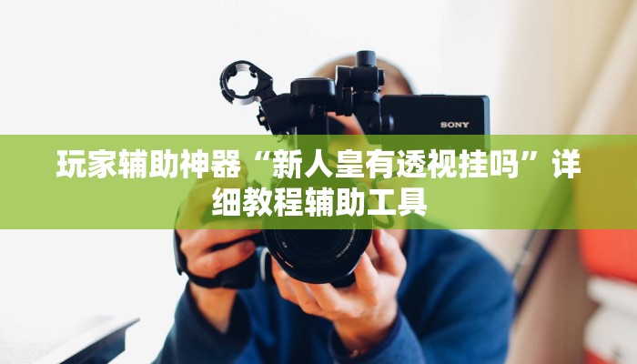 玩家辅助神器“新人皇有透视挂吗”详细教程辅助工具 玩家辅助神器“新人皇有透视挂吗”详细教程辅助工具