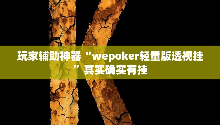 玩家辅助神器“wepoker轻量版透视挂”其实确实有挂