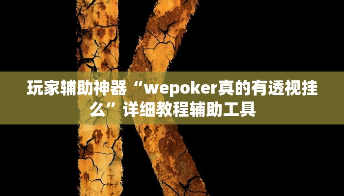 玩家辅助神器“wepoker真的有透视挂么”详细教程辅助工具