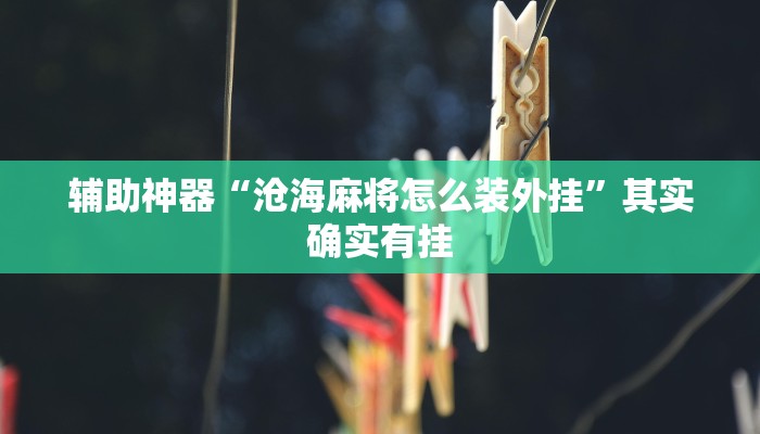 辅助神器“沧海麻将怎么装外挂”其实确实有挂