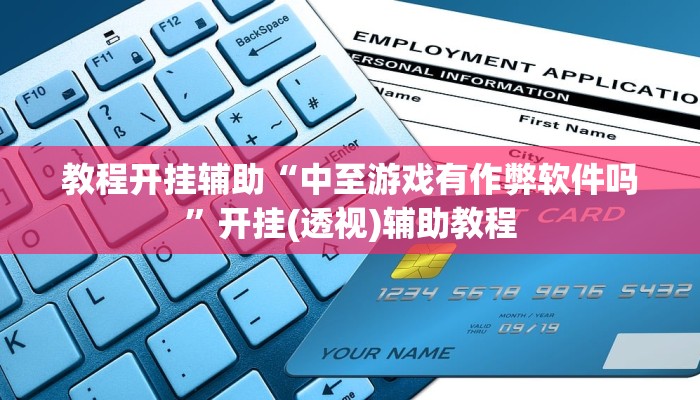教程开挂辅助“中至游戏有作弊软件吗”开挂(透视)辅助教程