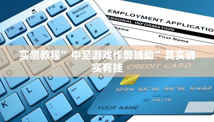 实测教程”中至游戏作弊辅助”其实确实有挂