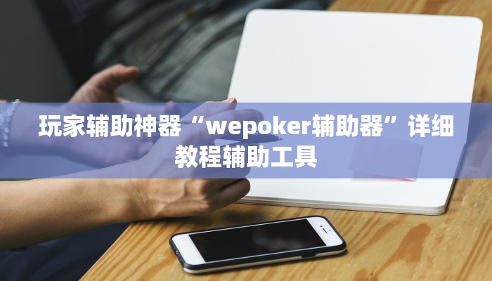 玩家辅助神器“wepoker辅助器”详细教程辅助工具