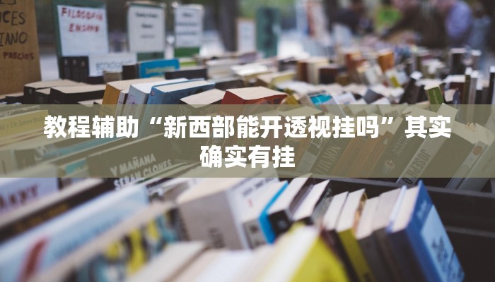 教程辅助“新西部能开透视挂吗”其实确实有挂