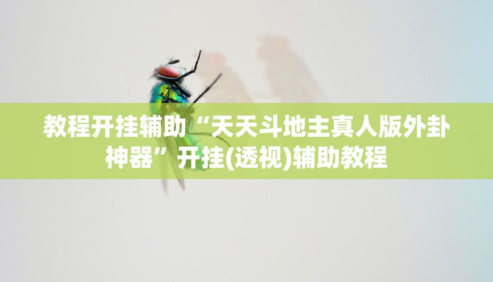 教程开挂辅助“天天斗地主真人版外卦神器”开挂(透视)辅助教程