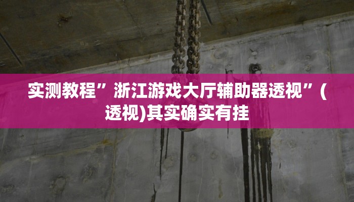 实测教程”浙江游戏大厅辅助器透视”(透视)其实确实有挂