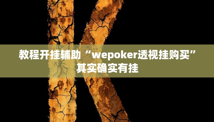教程开挂辅助“wepoker透视挂购买”其实确实有挂