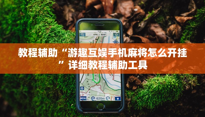 教程辅助“游趣互娱手机麻将怎么开挂”详细教程辅助工具