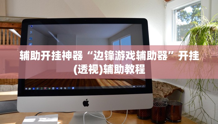 辅助开挂神器“边锋游戏辅助器”开挂(透视)辅助教程