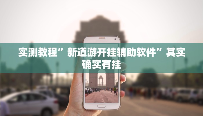 实测教程”新道游开挂辅助软件”其实确实有挂