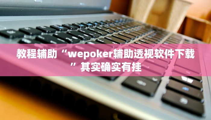 教程辅助“wepoker辅助透视软件下载”其实确实有挂
