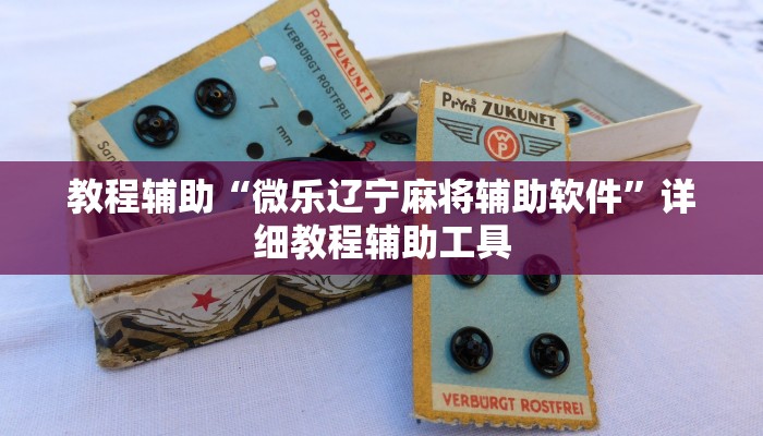 教程辅助“微乐辽宁麻将辅助软件”详细教程辅助工具