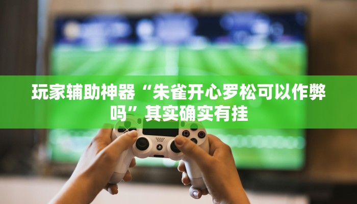 玩家辅助神器“朱雀开心罗松可以作弊吗”其实确实有挂