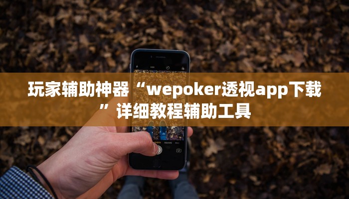 玩家辅助神器“wepoker透视app下载”详细教程辅助工具