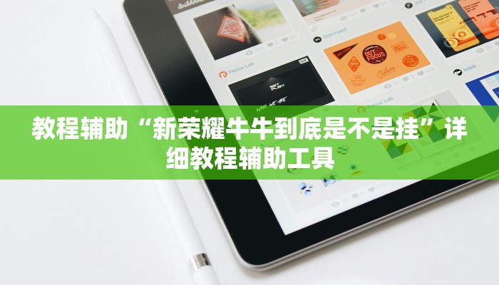 教程辅助“新荣耀牛牛到底是不是挂”详细教程辅助工具