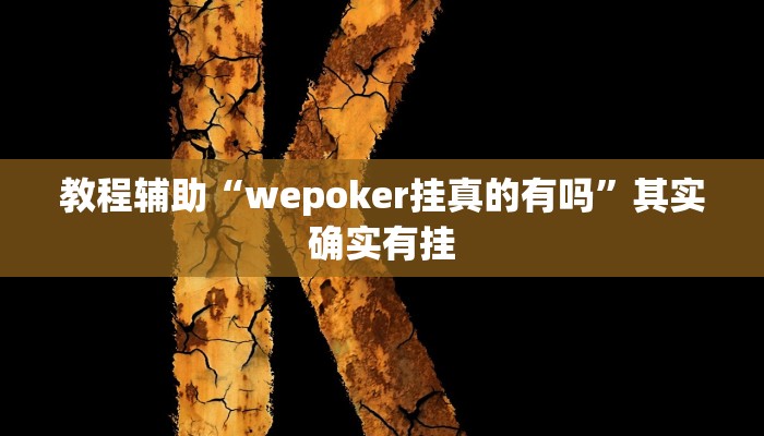教程辅助“wepoker挂真的有吗”其实确实有挂