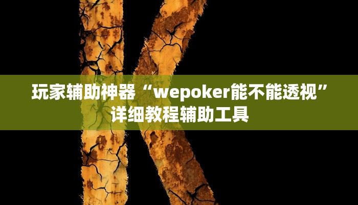 玩家辅助神器“wepoker能不能透视”详细教程辅助工具