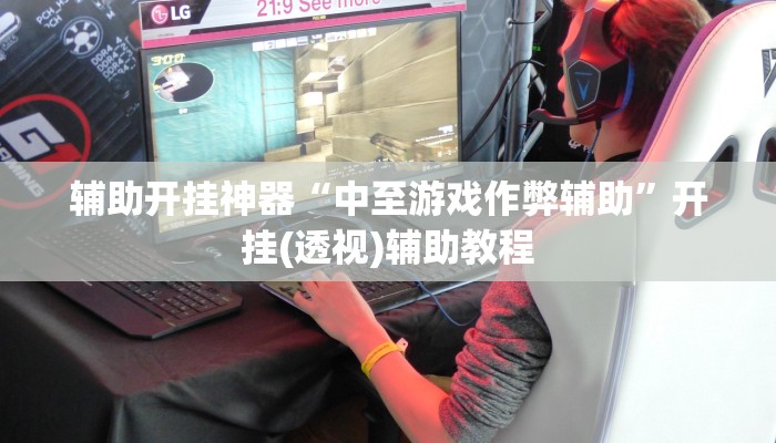 辅助开挂神器“中至游戏作弊辅助”开挂(透视)辅助教程