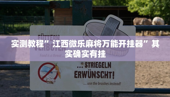 实测教程”江西微乐麻将万能开挂器”其实确实有挂