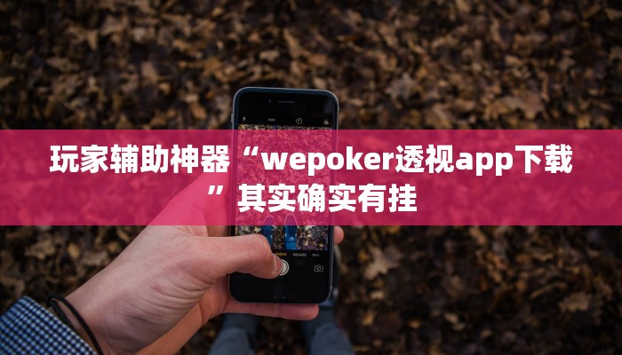 玩家辅助神器“wepoker透视app下载”其实确实有挂