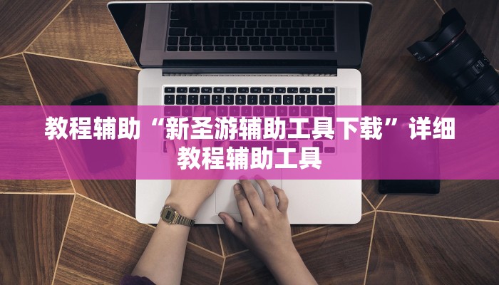 教程辅助“新圣游辅助工具下载”详细教程辅助工具