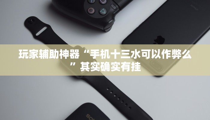 玩家辅助神器“手机十三水可以作弊么”其实确实有挂