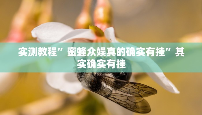 实测教程”蜜蜂众娱真的确实有挂”其实确实有挂