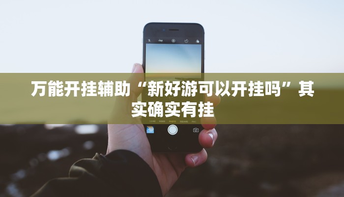 万能开挂辅助“新好游可以开挂吗”其实确实有挂