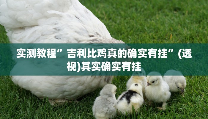 实测教程”吉利比鸡真的确实有挂”(透视)其实确实有挂