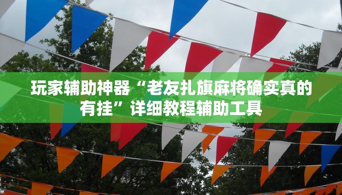 玩家辅助神器“老友扎旗麻将确实真的有挂”详细教程辅助工具