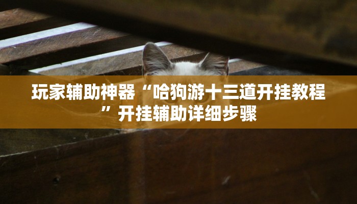 玩家辅助神器“哈狗游十三道开挂教程”开挂辅助详细步骤