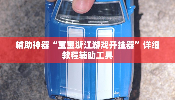 辅助神器“宝宝浙江游戏开挂器”详细教程辅助工具