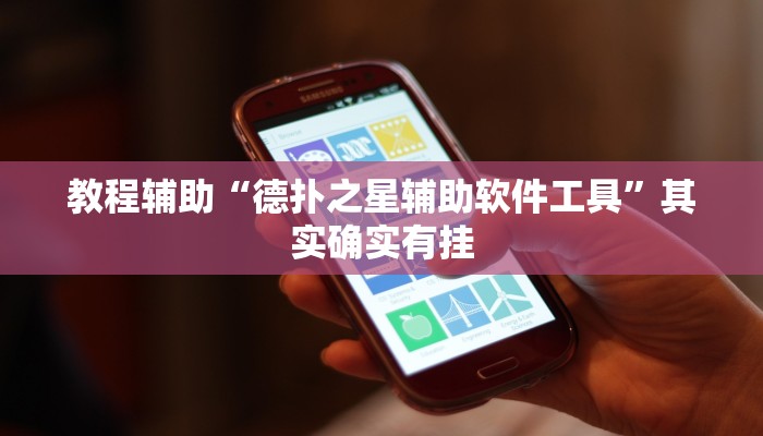 教程辅助“德扑之星辅助软件工具”其实确实有挂