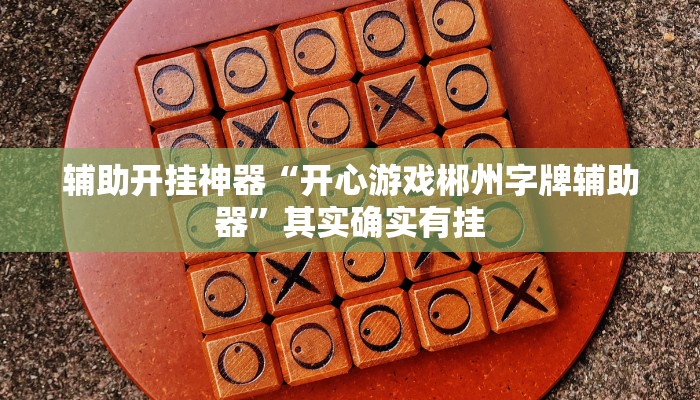辅助开挂神器“开心游戏郴州字牌辅助器”其实确实有挂