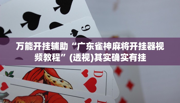 万能开挂辅助“广东雀神麻将开挂器视频教程”(透视)其实确实有挂
