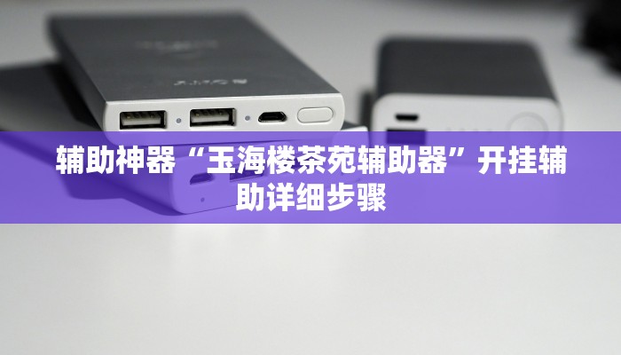 辅助神器“玉海楼茶苑辅助器”开挂辅助详细步骤