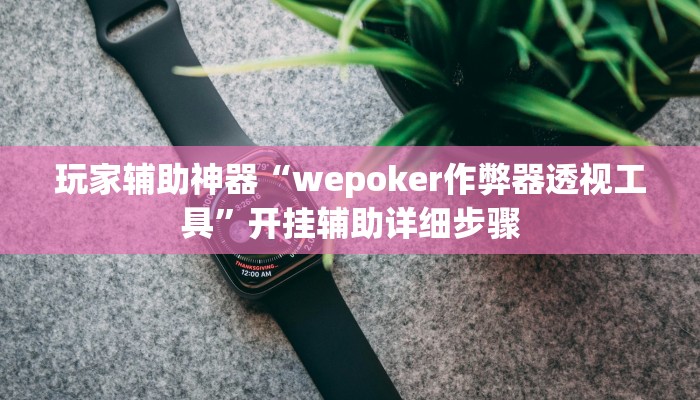 玩家辅助神器“wepoker作弊器透视工具”开挂辅助详细步骤
