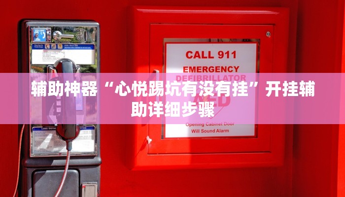 辅助神器“心悦踢坑有没有挂”开挂辅助详细步骤