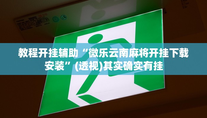 教程开挂辅助“微乐云南麻将开挂下载安装”(透视)其实确实有挂