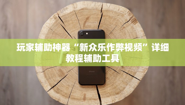 玩家辅助神器“新众乐作弊视频”详细教程辅助工具