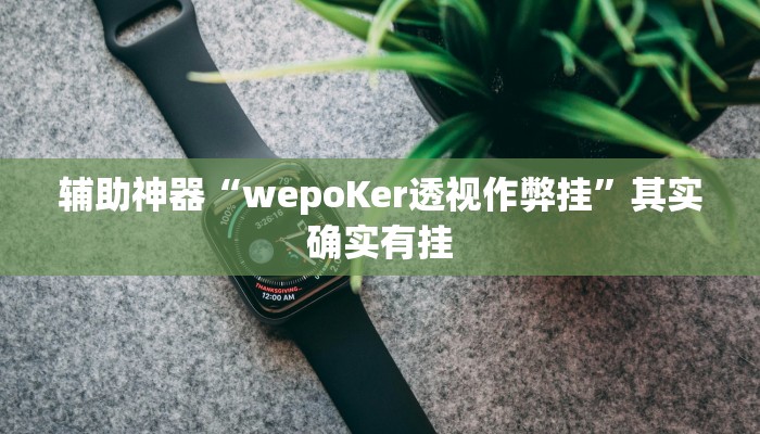 辅助神器“wepoKer透视作弊挂”其实确实有挂