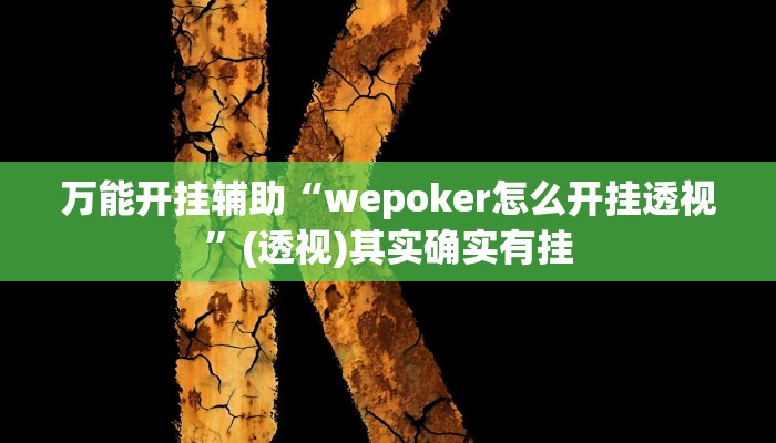 万能开挂辅助“wepoker怎么开挂透视”(透视)其实确实有挂