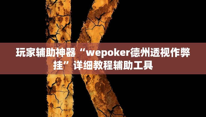 玩家辅助神器“wepoker德州透视作弊挂”详细教程辅助工具