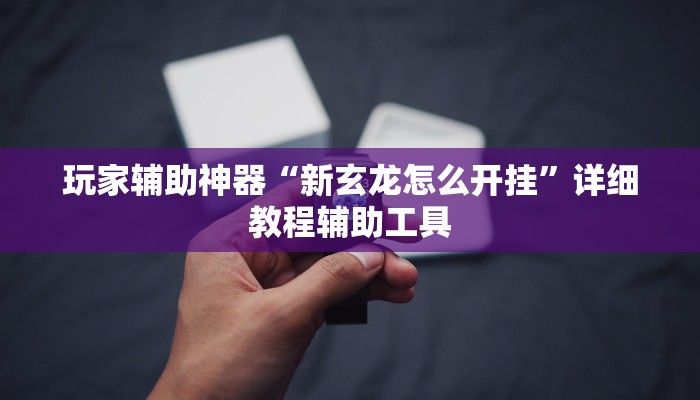 玩家辅助神器“新玄龙怎么开挂”详细教程辅助工具