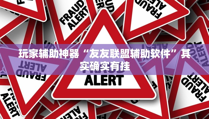 玩家辅助神器“友友联盟辅助软件”其实确实有挂